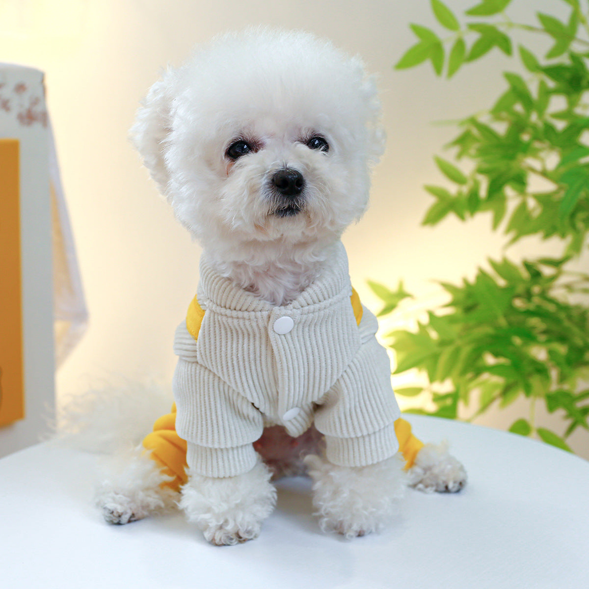 Pet Dog Clothes Corduroy Cute Suspender Pants